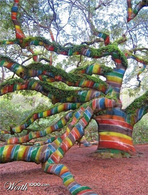 Photoshop Design by timothyansell