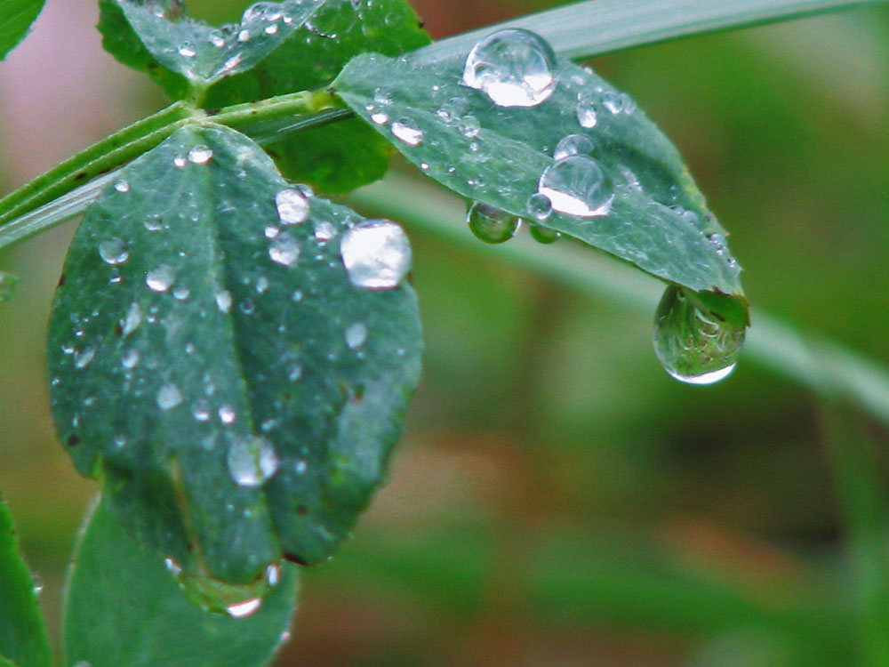 Photography by Vodoc1005 for DesignCrowd (Community Contests) | Design #8978231