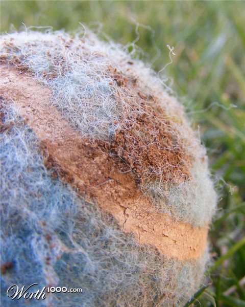 Photography by imthinkingoutloud