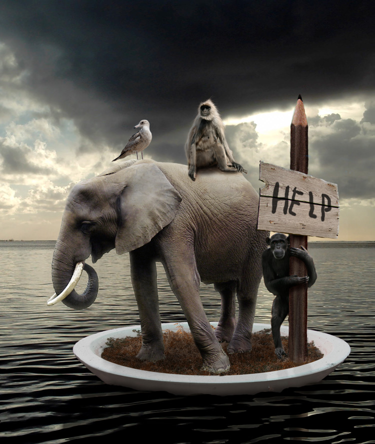 Design Photoshop par Stadsman pour DesignCrowd (Community Contests) | Design #8976601