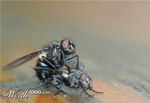 Photography by Rouwkema