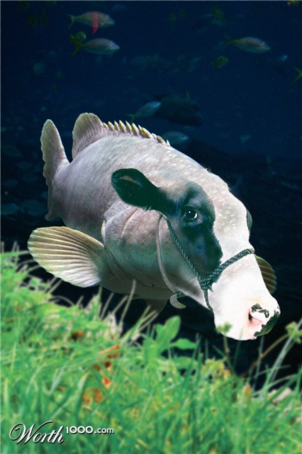 Photoshop Design by anticus50