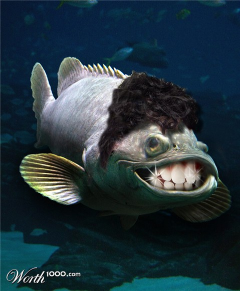 Photoshop Design by bacarrat