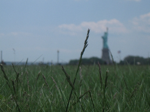 Photography by sarahop1 for DesignCrowd (Community Contests) | Design #8978202