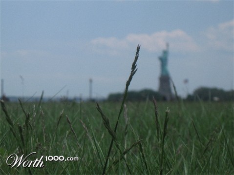 Photography by sarahop1