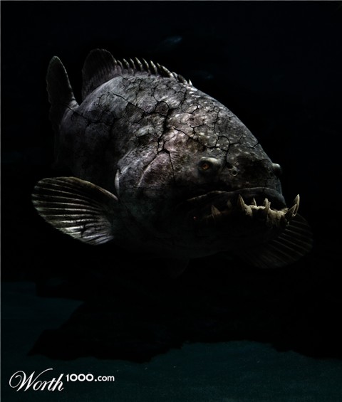 Photoshop Design by drumsman47