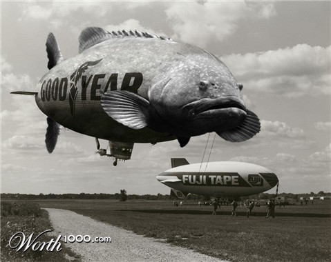 Photoshop Design by DoctorSuess