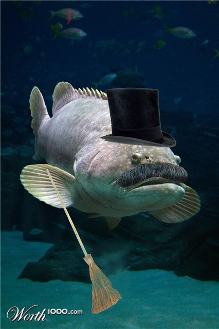 Photoshop Design by DrRobot