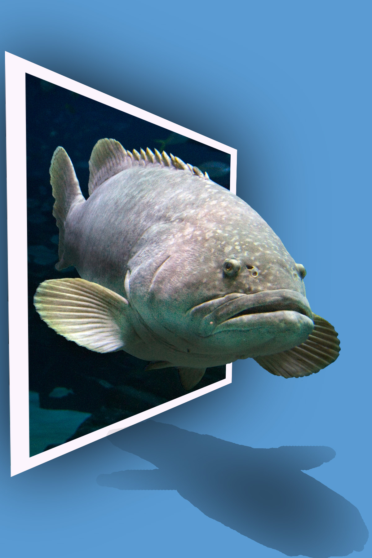 Diseño de Photoshop por photoshop613 para DesignCrowd (Community Contests) | Diseño #8980948