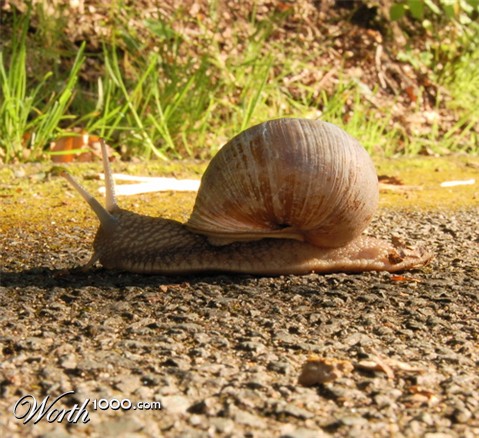 Photography by mdanse