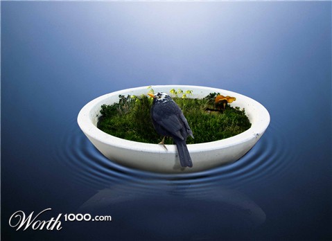 Photoshop Design by Zaeinn