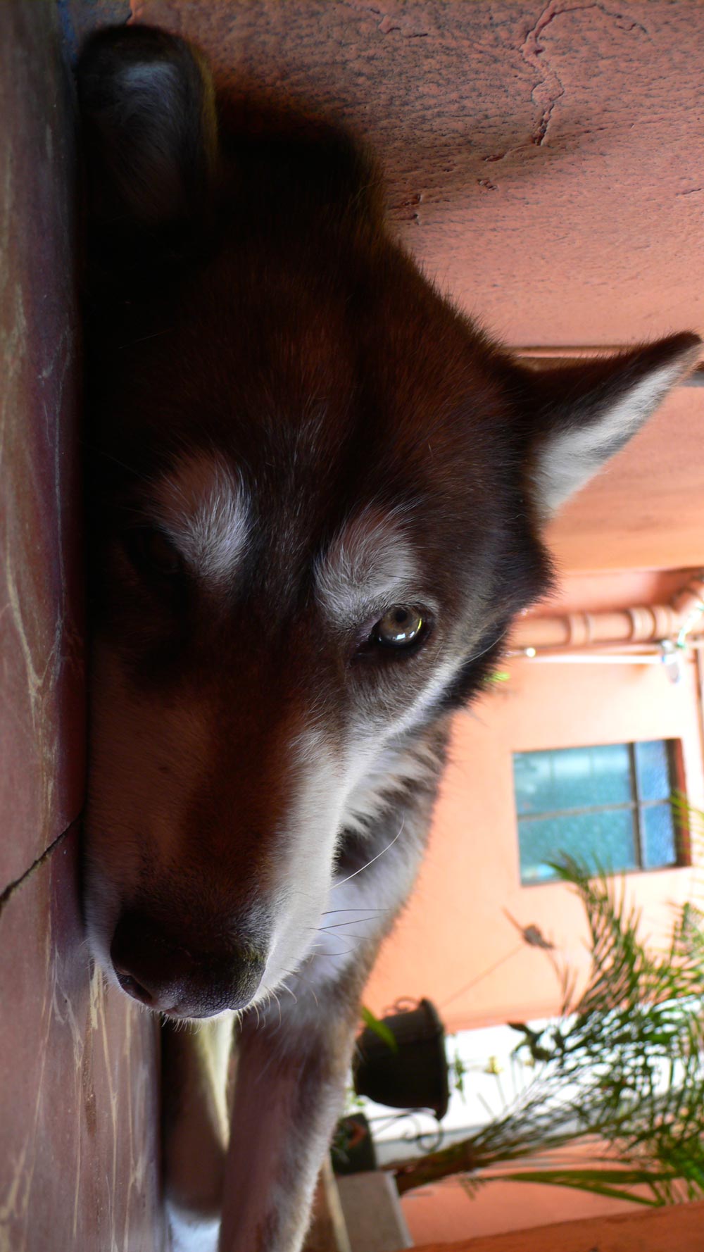 Photography by sausirhi for DesignCrowd (Community Contests) | Design #8978312