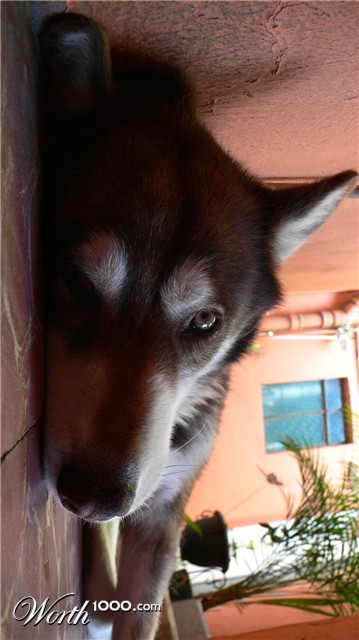 Photography by sausirhi