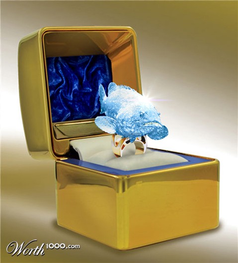 Photoshop Design by frangod