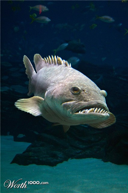 Photoshop Design by kenposam