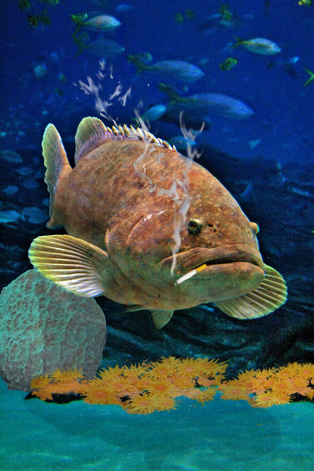 Photoshop Design by Pucker for DesignCrowd (Community Contests) | Design #8980979