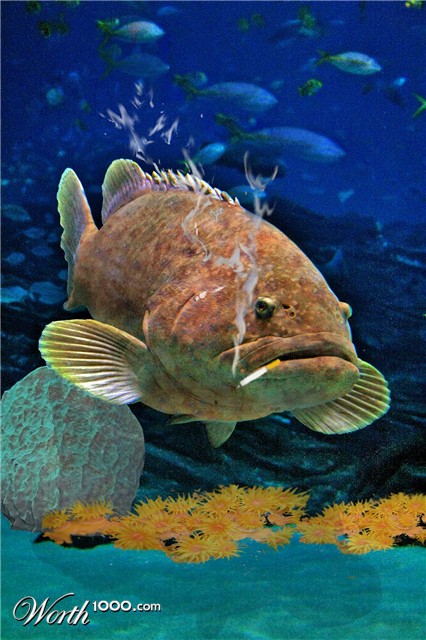 Photoshop Design by Pucker