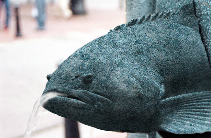 Photoshop Design by lucimine for DesignCrowd (Community Contests) | Design #8981030