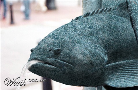 Photoshop Design by lucimine