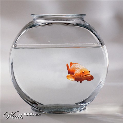 Photoshop Design by RichardvH