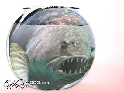 Photoshop Design by mummelmongo