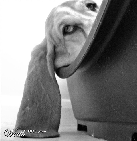Photography by kellbell