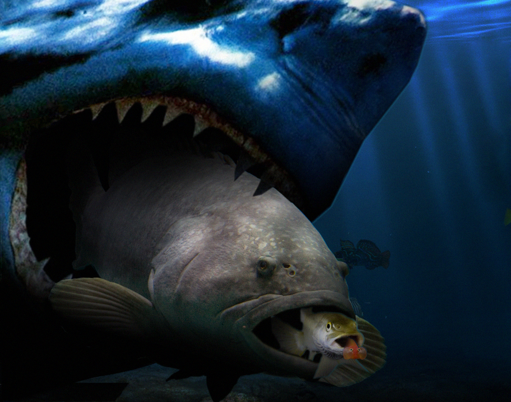 Photoshop-Design von ElLuissitzky für DesignCrowd (Community Contests) | Design #8981047