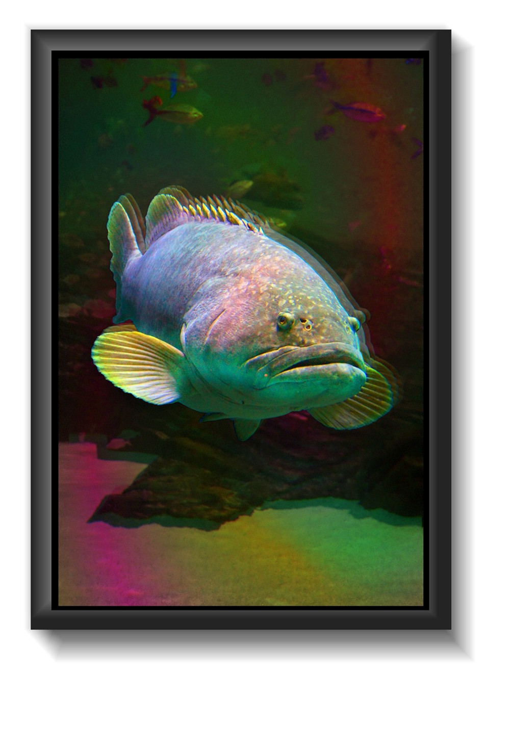 Photoshop Design by zsomeone for DesignCrowd (Community Contests) | Design #8980969