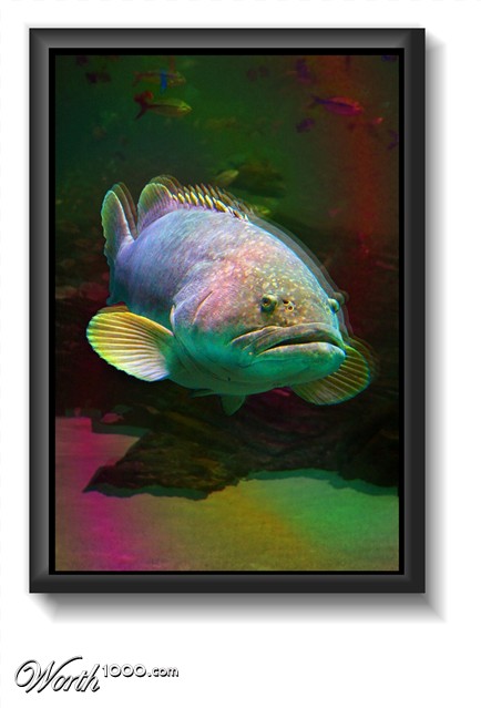 Photoshop Design by zsomeone