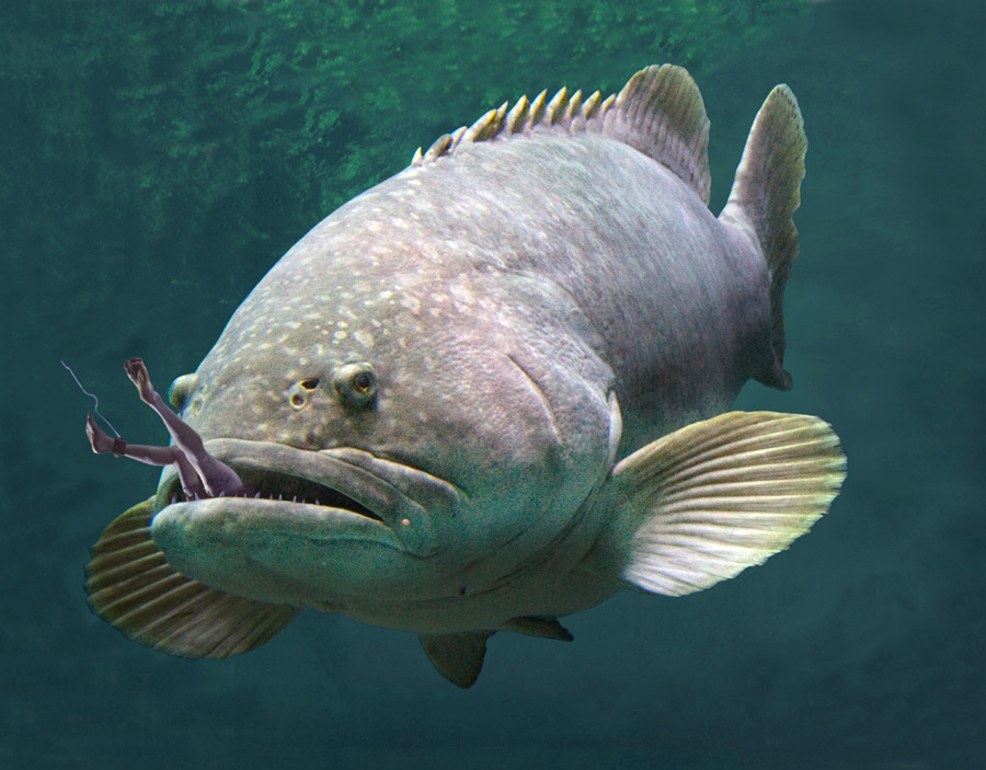 Photoshop Design by sunnythekid for DesignCrowd (Community Contests) | Design #8980995