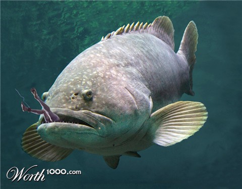 Photoshop Design by sunnythekid