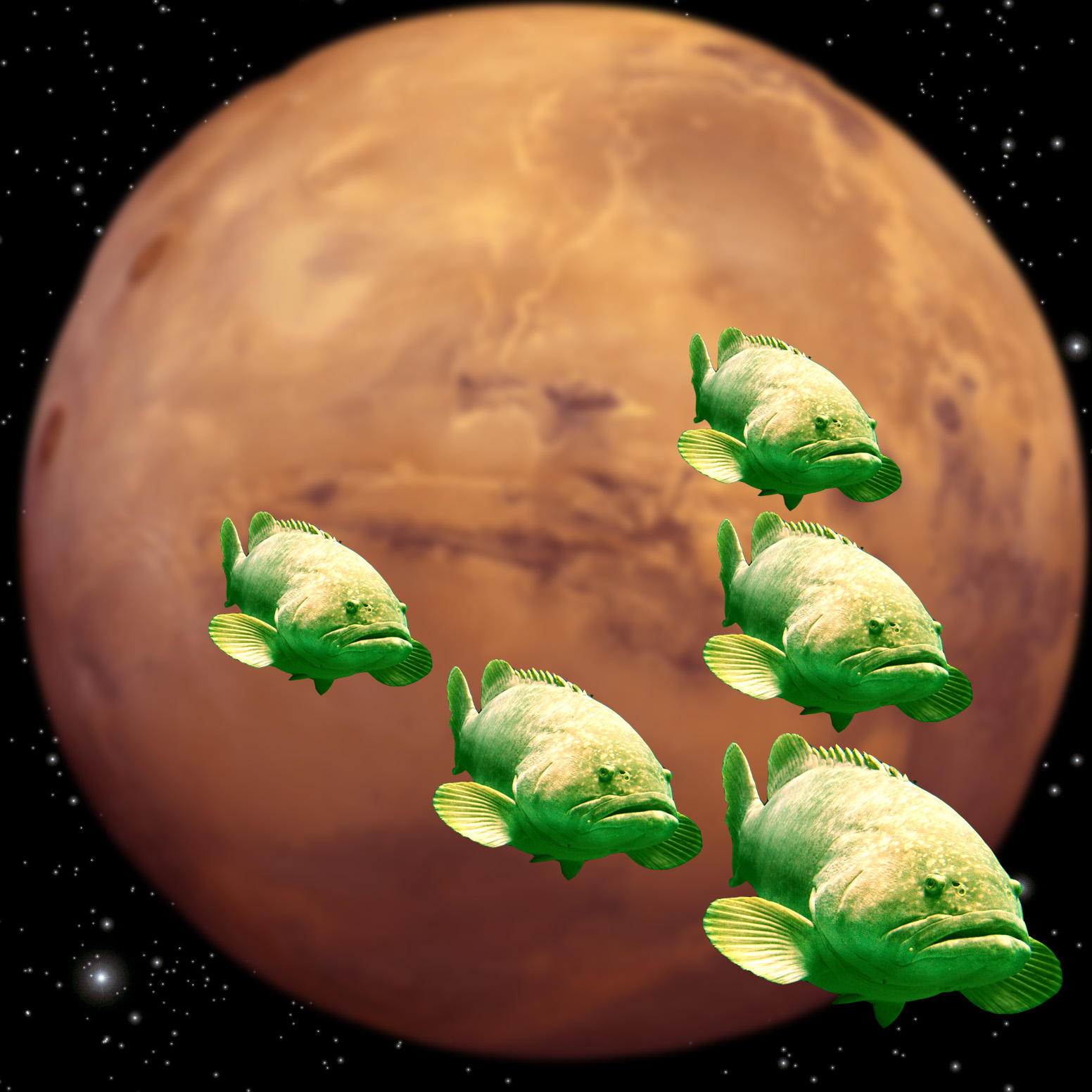 Photoshop-Design von Lucidforest für DesignCrowd (Community Contests) | Design #8981098