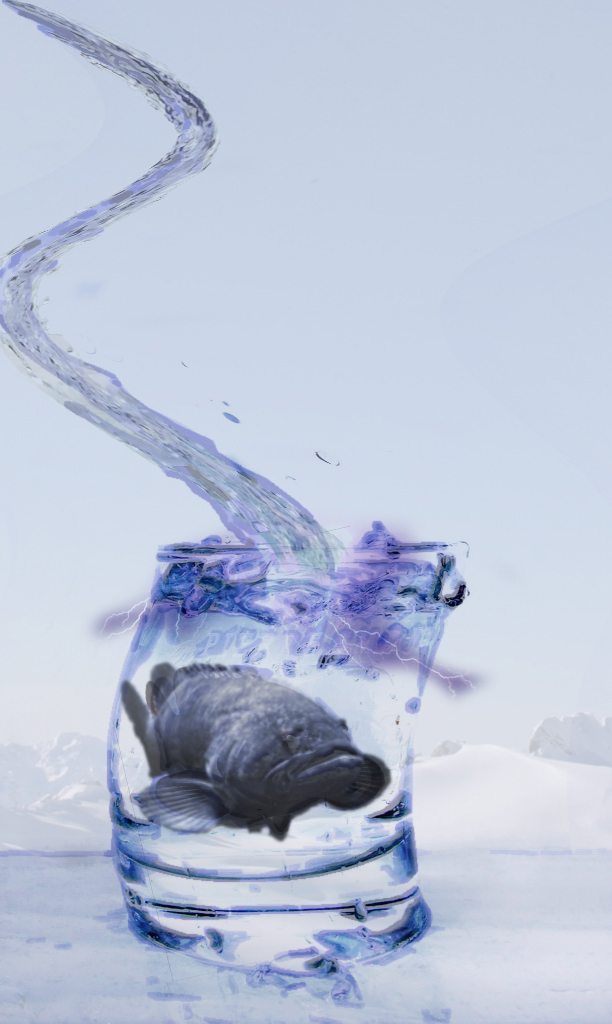 Photoshop Design by Evilmaan for DesignCrowd (Community Contests) | Design #8981034