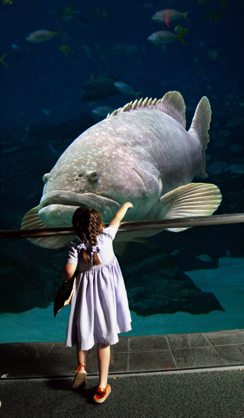 Photoshop Design by Disasterman111 for DesignCrowd (Community Contests) | Design #8981004