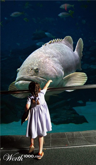 Photoshop Design by Disasterman111