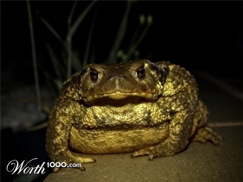 Photography by vtrpina