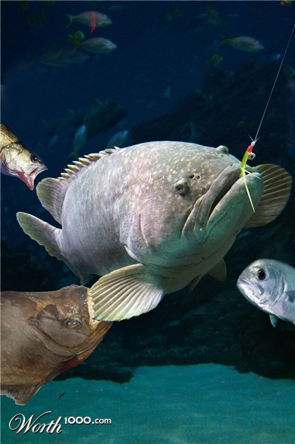 Photoshop Design by rockwave