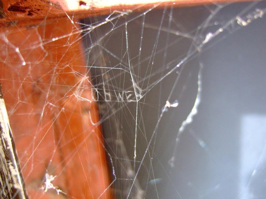 Design Photoshop par Cadder pour DesignCrowd (Community Contests) | Design #8976517