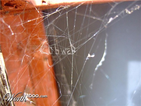 Photoshop Design by Cadder