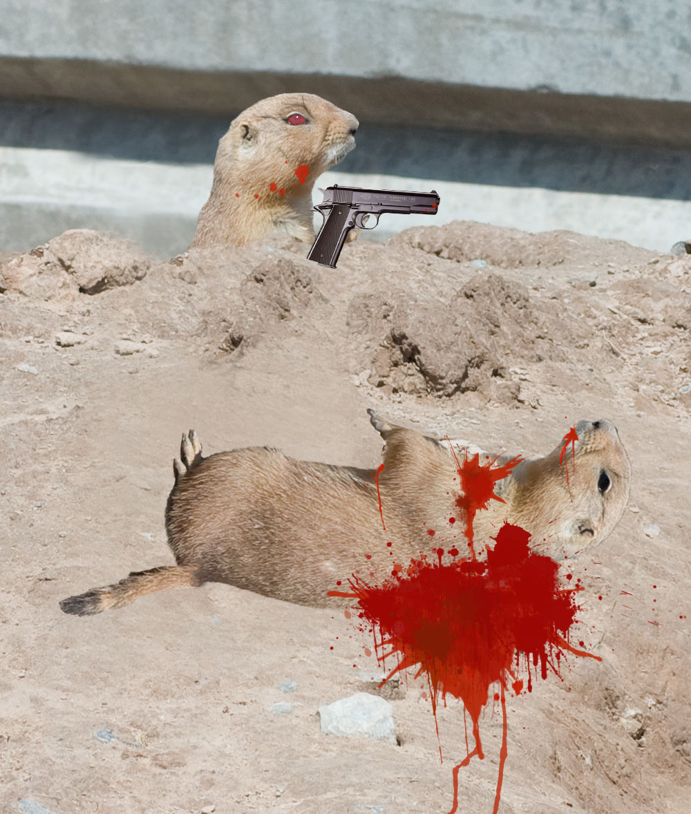 Diseño de Photoshop por Varney para DesignCrowd (Community Contests) | Diseño #8975737