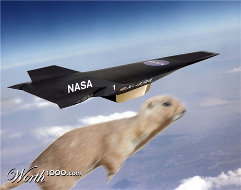 Photoshop Design by luca0020