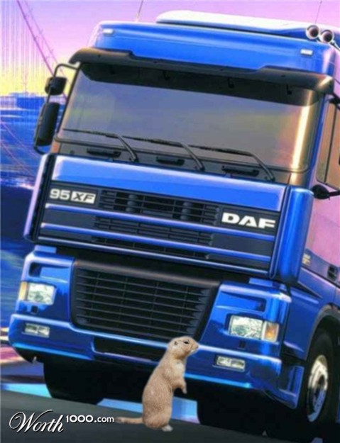 Photoshop Design by dogpark