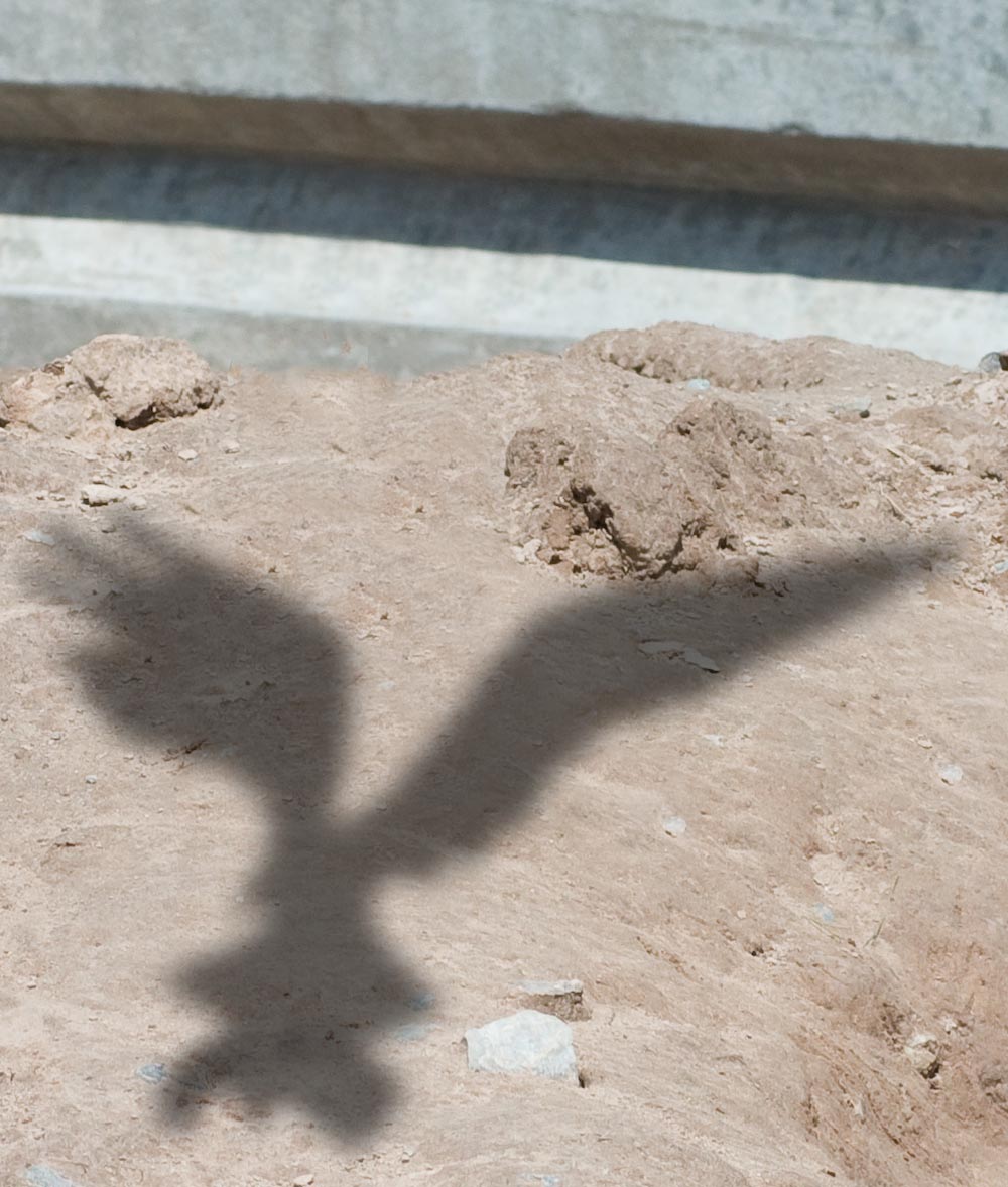 Photoshop Design by RichardvH for DesignCrowd (Community Contests) | Design #8975746