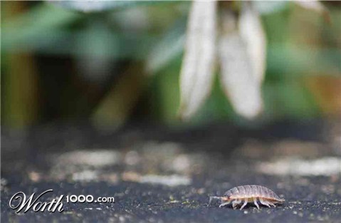 Photography by mush2274