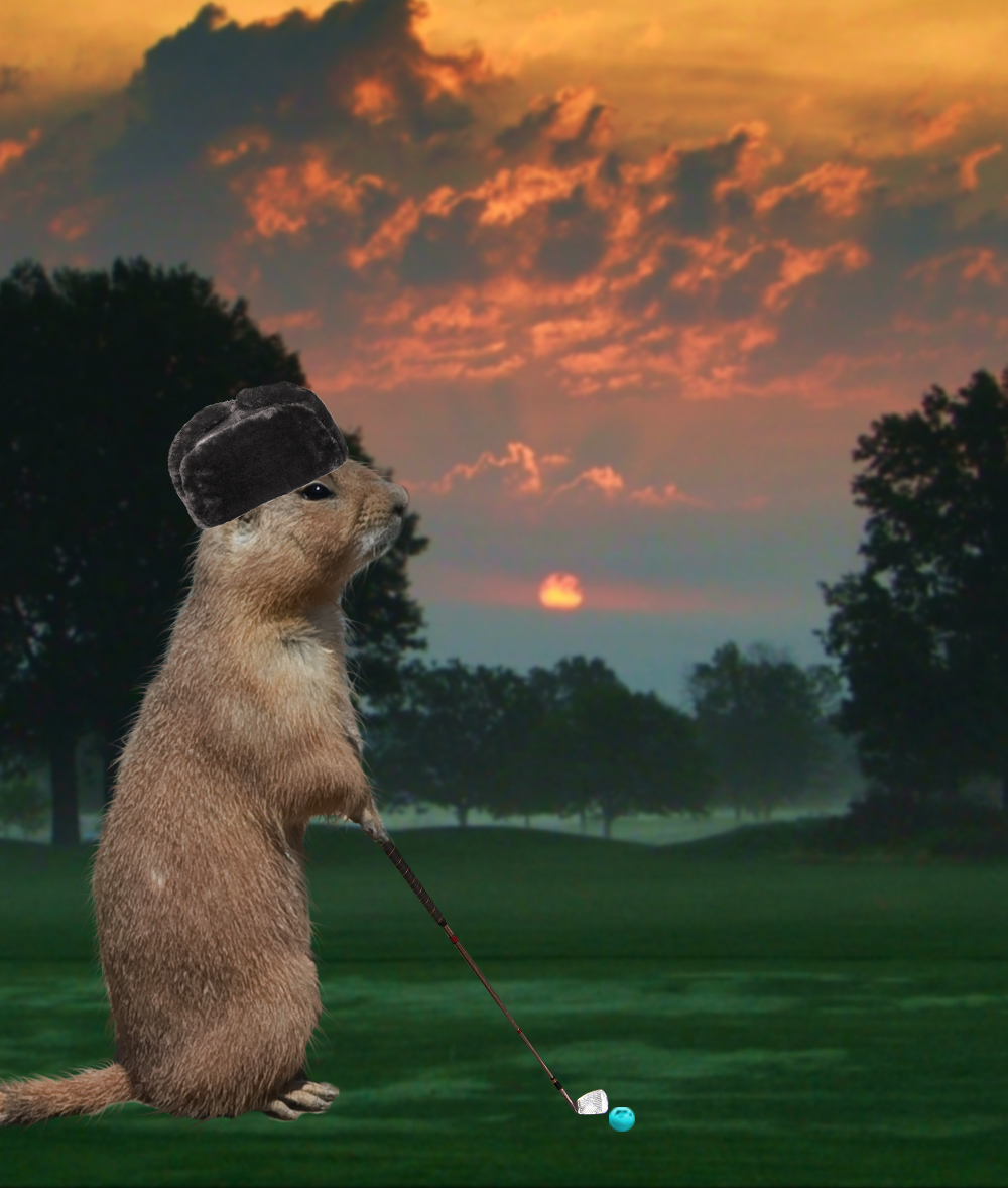 Photoshop Design by Evilmaan for DesignCrowd (Community Contests) | Design #8975743