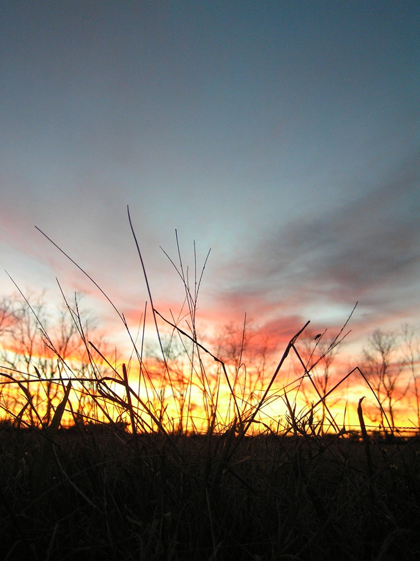 Photographie par zsomeone pour DesignCrowd (Community Contests) | Design #8978284