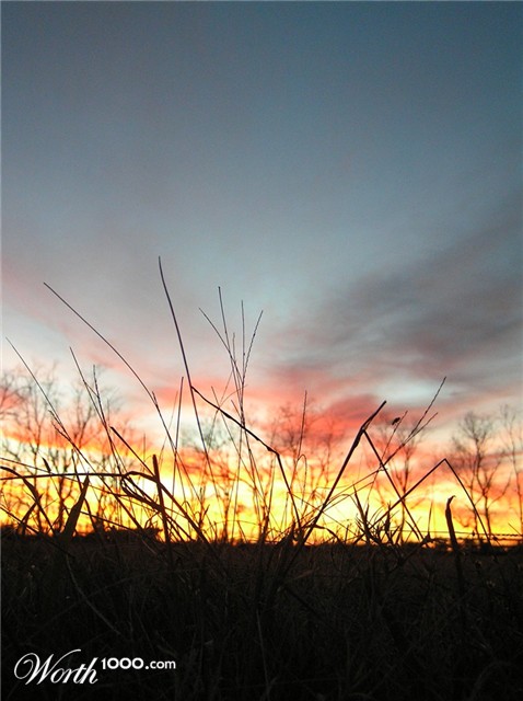 Photography by zsomeone