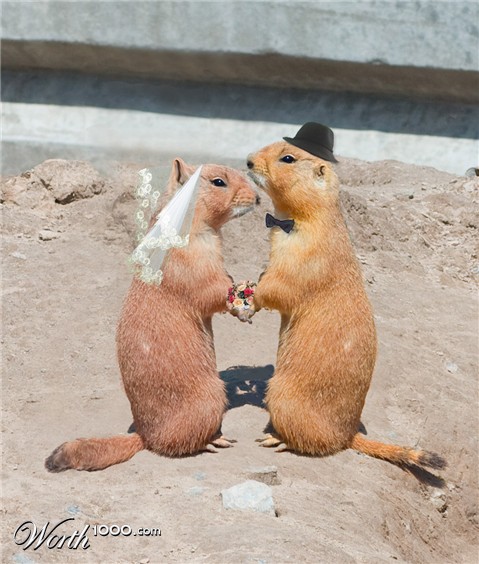 Photoshop Design by anthropomorphic