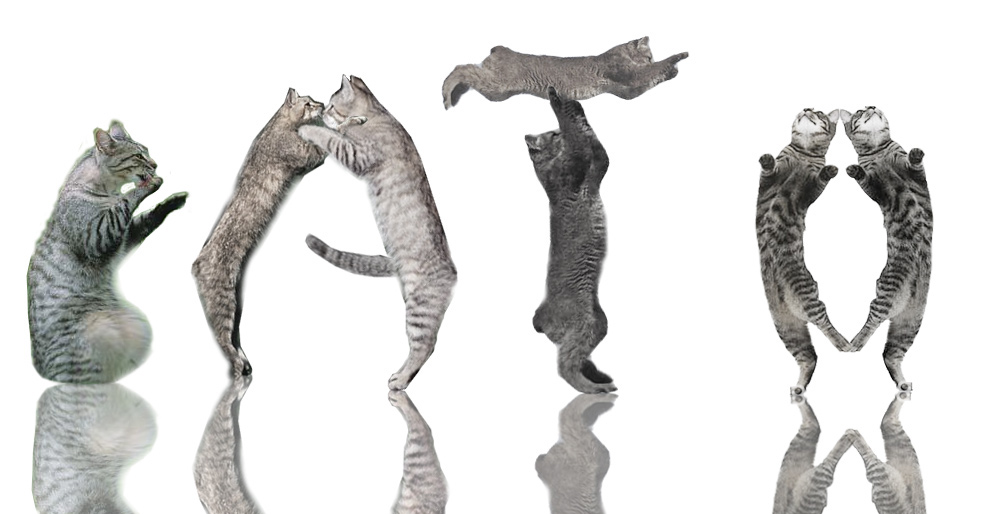 Photoshop Design by PeterAAAWelch for DesignCrowd (Community Contests) | Design #8976522