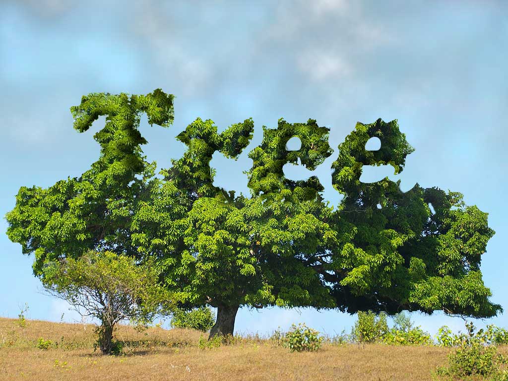 Photoshop Design by amalmansy for DesignCrowd (Community Contests) | Design #8976605